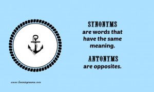 Parts of speech print - synonyms FREE Printables